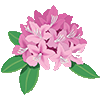 rhododendron.gif